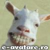 oracolx